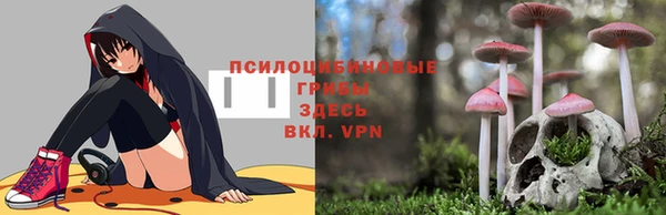 МДМА Абаза