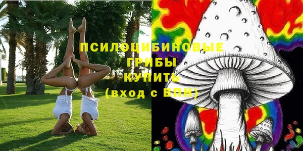 трава Алзамай