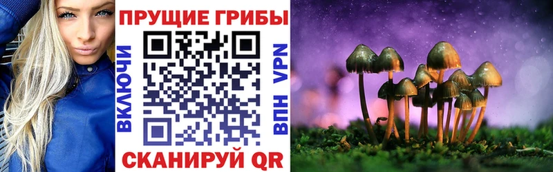 Галлюциногенные грибы Cubensis Новосиль