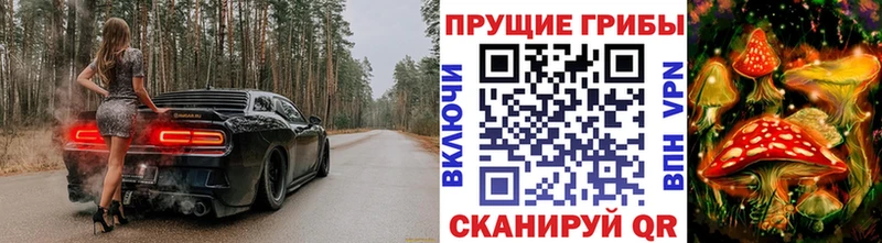 как найти наркотики  Новосиль  Псилоцибиновые грибы Cubensis 